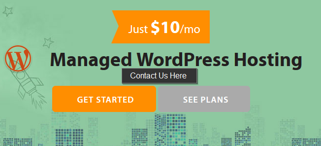managed WordPress hosting