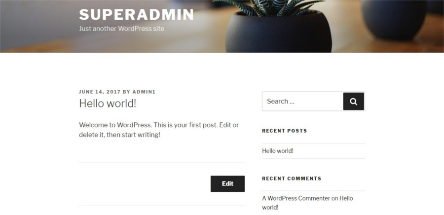 Wordpress website pre launch checklist - Delete Dummy Content